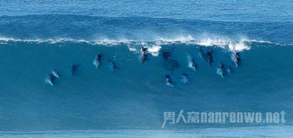滨州市惠民县黄河河务局王立明：公益路上踏歌行